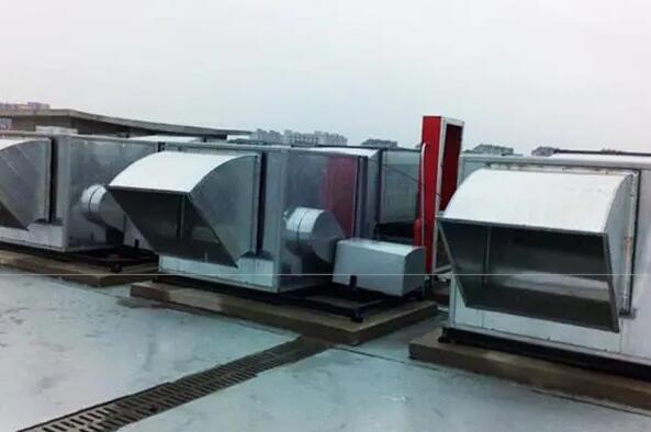 1716522192755665.jpg 2.jpg